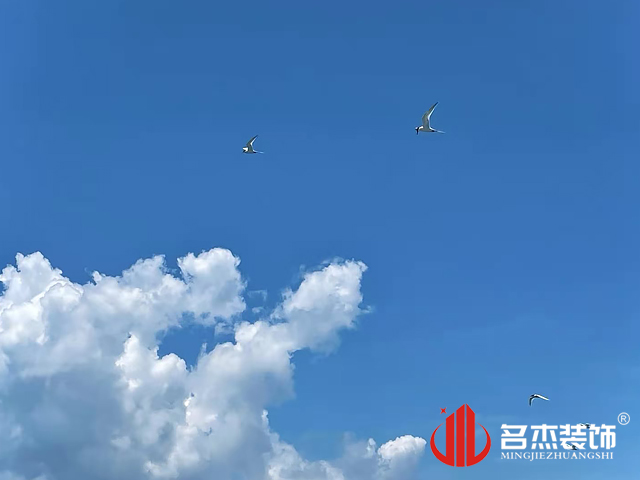 20210524165039_711 海鸥