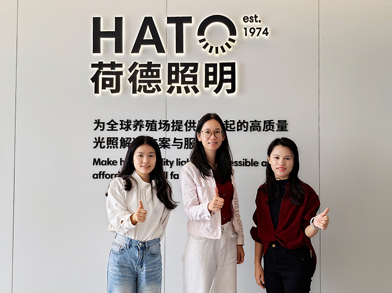 20251030174512_310 昭通装建设计公司